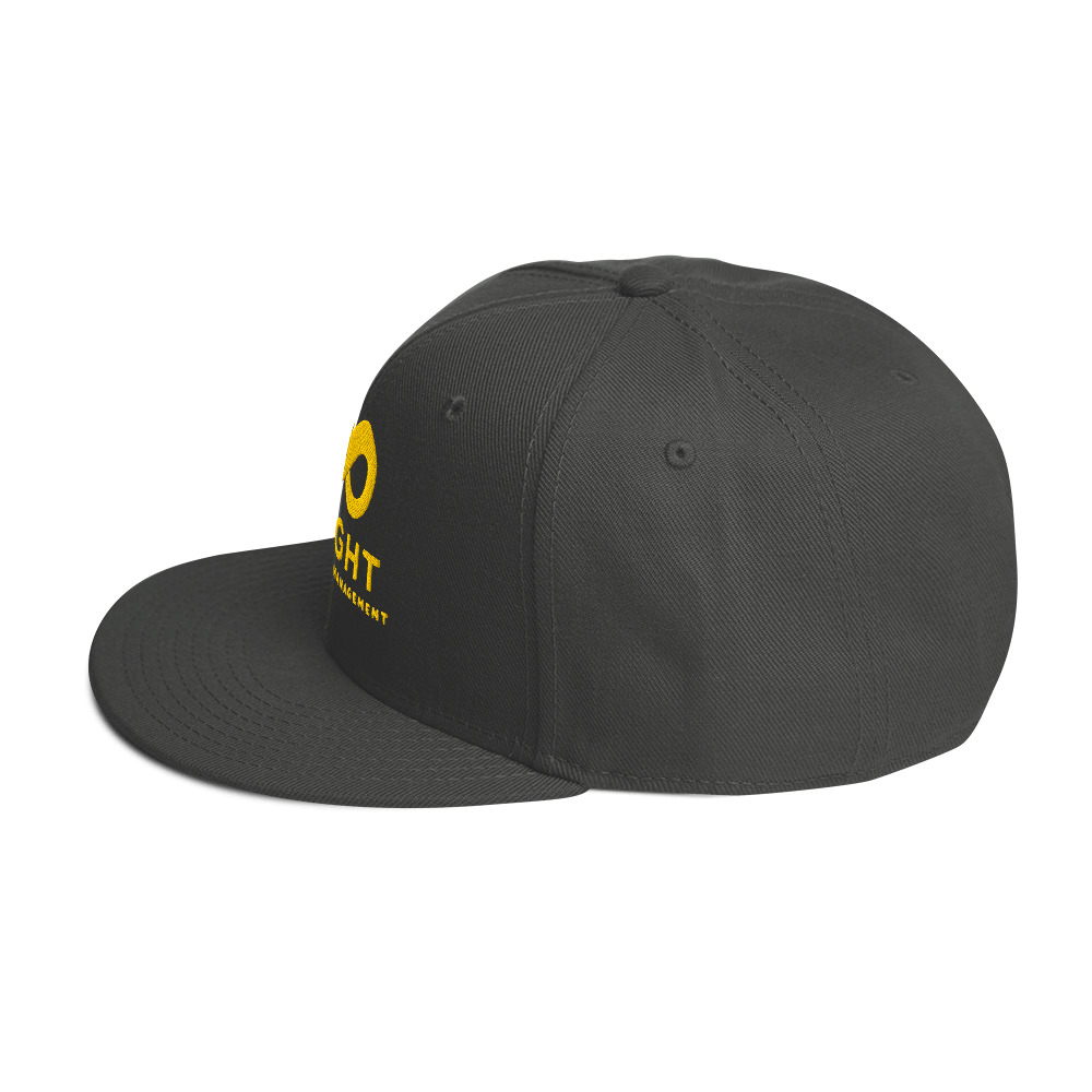 Snapback Hat - Image 11