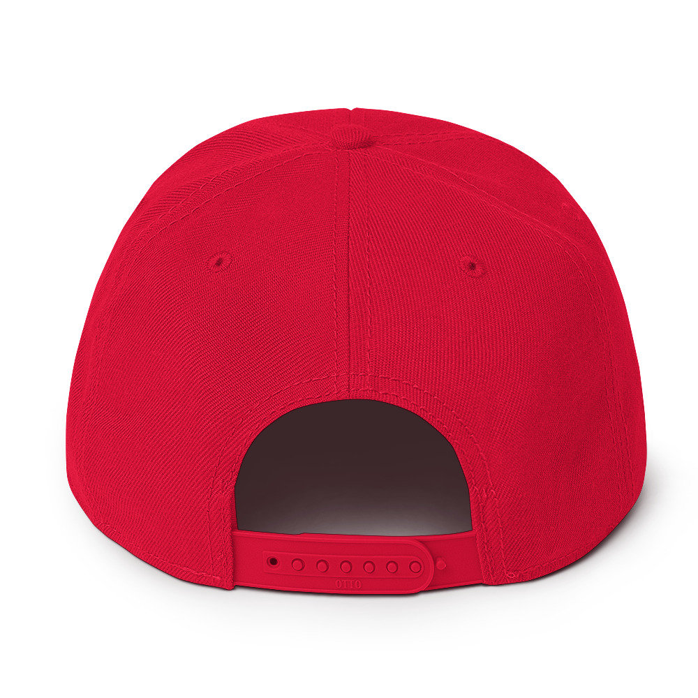 Snapback Hat - Image 6